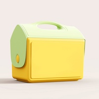 Glacière portable multi-usage en plastique isolé, modèle Igloo 15L, avec couvercle, pour camping et pique-nique