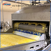 Línea de Producción de Papas Fritas Totalmente Automática, Llave en Mano, para Pequeñas y Medianas Fábricas, con Capacidad Personalizable