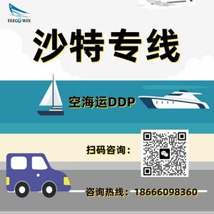 Expédition internationale de fret maritime et aérien en Arabie Saoudite, DDP porte-à-porte, dédouanement, consolidation de conteneurs - Product Image 1