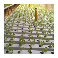 Système de culture hydroponique Nft en PVC multicouche avec canaux Hidroponia Nft pour les fermes Gully Hydroponic Nft