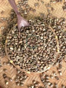 Pureza 95 a 99% Robusta Tamaño 16 Origen de Vietnam Granos de café verde A 60kg A Plus Bolsas a granel de alta calidad - Product Image 5