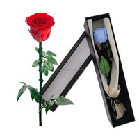 Konservierte rote Rosen einzelne Rose natürlich konservierte Blumen echt stabilisiert mit langem Stiel in kleiner Geschenk box zum Valentinstag