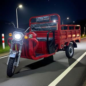 <span class=keywords><strong>Tricycle</strong></span> électrique <span class=keywords><strong>vintage</strong></span> personnalisable en usine, grande puissance et charge maximale - Product Image 1