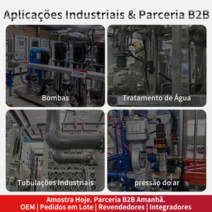 Capteur piézoélectrique à silicium hautement diffusé pour l'eau, RS485 4-20MA, pour l'azote, 2 ou 3 fils - Product Image 4