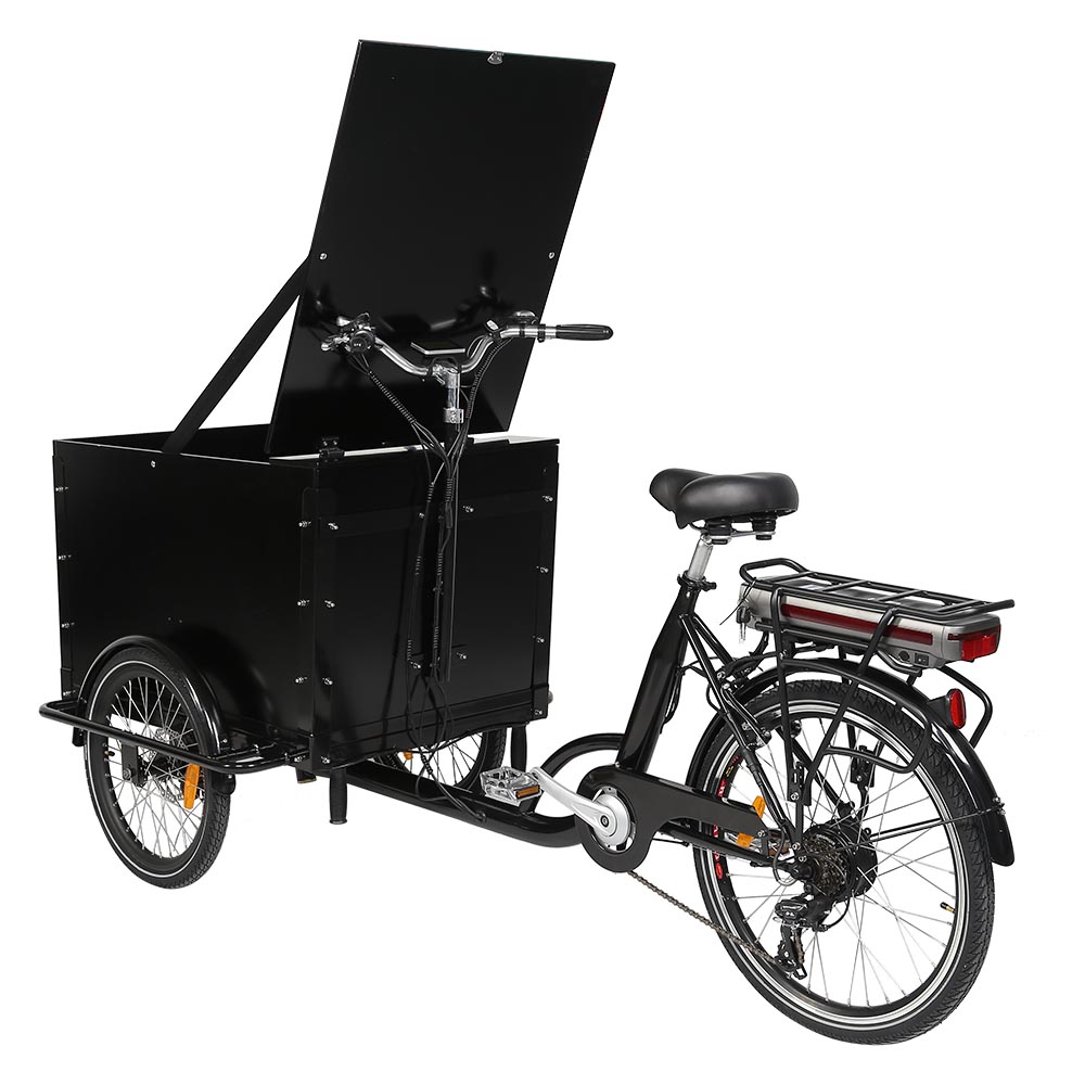 KUAKE 20 24 Zoll 36V 250W DAPU Motor Vorderbox Dreirad Elektro-Lastenfahrrad  mit Kindersitzen Braunes Dreirad| Alibaba.com
