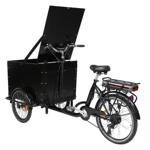KUAKE 20 24英寸36V 250W达普电机前箱三轮电动货运自行车儿童座椅棕色三轮车