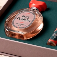 Boîte à parfum rigide de luxe personnalisée de style livre rose magnétique avec doublure en éponge réutilisable et deux flacons vaporisateurs de voyage