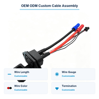 Connecteur haute intensité 50A, fil en silicone 10AWG, prise femelle à verrouillage fileté pour stockage d'énergie, batterie de véhicule électrique