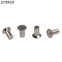 Paku Keling Baja Tahan Karat Kepala CSK (Countersunk/Flat) Finishing Mengkilap 1/2'' 3/8'' Pengikat Rivet Otomotif