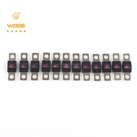 Fusible automobile de petite taille à fixation par boulons 20A-250A 0498 ANS ANF Fusible à courant élevé pour l'audio automobile Conception à fixation directe par boulons