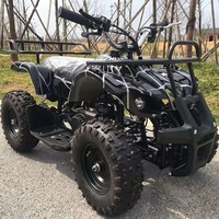Mini Quad 49CC pour Enfants, Véhicule de Plaisance et de Divertissement pour Parcs, Location et Vente