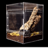 Vente en gros de vitrine d'exposition pour reptiles en acrylique transparent, de haute qualité, design personnalisé, enclos pour reptiles, boîte d'élevage pour araignées sauteuses