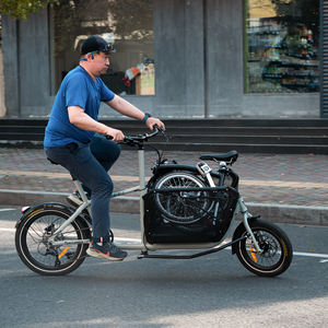 La Más Nueva Bicicleta de Carga Familiar de Dos Ruedas para Trayectos Diarios - Product Image 2