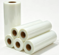 Film de plastification PET transparent haute clarté 300 microns 620mm*100M, transparent à chaud pour la plastification de peintures décoratives