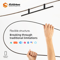 Ultra Mince Mince Bande Tressée Flexible Magnétique Rail Rail Lumière 48V Piste Lustres Suspendus Lumière Lustres et Lampes Suspendues