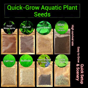 Vente en gros de graines de plantes aquatiques à haut taux de germination et à faible entretien pour aquariums multifonctionnels - Product Image 2
