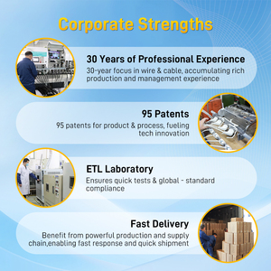 Nhà Máy Trực Tiếp Trung Quốc Góc Phải Phẳng Cắm Điện Dải Nhỏ Gọn Di Động Ngoài Trời Thời Tiết Môi Trường Điện Dải - Product Image 6