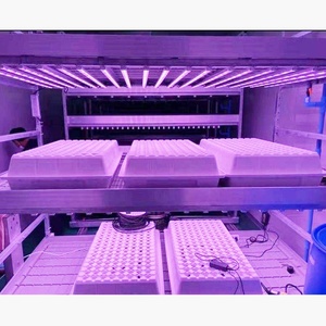 Plateaux de culture à 40 trous Système hydroponique de clonage <span class=keywords><strong>Plateau</strong></span> d'ensemencement de plantes clonées en plastique ABS - Product Image 5