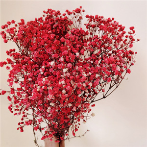 Fleurs séchées de gypsophile multicolores, fleurs séchées naturelles - Product Image 6