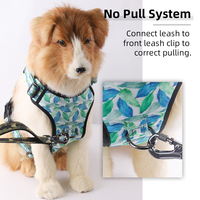 Ensemble de harnais pour chien en néoprène réfléchissant avec collier, laisse et écharpe, haute visibilité pour la marche nocturne, polyester/nylon, maille respirante