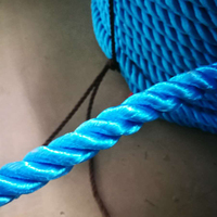 Corde en PEHD 100% vierge haute résistance et flexible, 3 brins, 660 mètres, bleue, 4 brins, polyéthylène, tailles 4MM 5MM 10MM 12MM 14MM 16MM