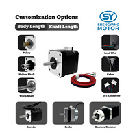 Moteur pas à pas hybride personnalisé 12V CC 2 phases avec poulie, arbre creux à vis sans fin, connecteur, boîte de vitesses, certifié CE, pilote intégré