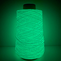 Fil épais lumineux Bojay de 2mm, nouveau fil fonctionnel brille dans le noir, fil lumineux 100% Polyester pour le tricot à la main