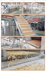 Gelgoog khí liên tục làm nóng hồ đào hạt sản xuất quả hồ trăn dây chuyền chế biến máy Rang cho Hazelnut - Product Image 6