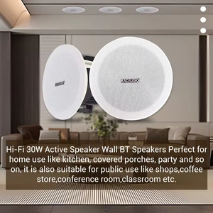 883 facile à installer 30W145mm trou taille <span class=keywords><strong>Restaurant</strong></span> plafond Audio haut-parleur de plafond actif - Product Image 3