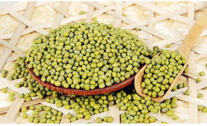 Cao cấp không GMO số lượng lớn mọc Xanh đậu xanh 3mm + từ Trung Quốc - Product Image 6