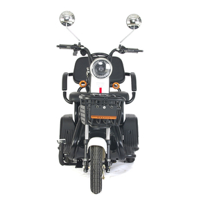 Offre Spéciale Passager <span class=keywords><strong>Adulte</strong></span> Utiliser Trois Roues De Moto Couvert Électrique <span class=keywords><strong>Tricycle</strong></span> Utilisé <span class=keywords><strong>adulte</strong></span> <span class=keywords><strong>tricycle</strong></span> vélo électrique e vélo - Product Image 4