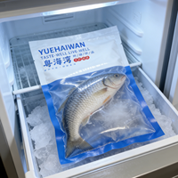 Sacs d'emballage sous vide en nylon pour fruits de mer frais, qualité alimentaire, congelés, scellés sur 3 côtés, sacs Mylar PA avec impression en héliogravure pour poisson, aliments pour animaux, lait