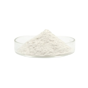 Polvo de Espículas de Esponja de Grado Cosmético/Polvo de Esponja Hidrolizada en Envase de Tambor Blanco - Product Image 5