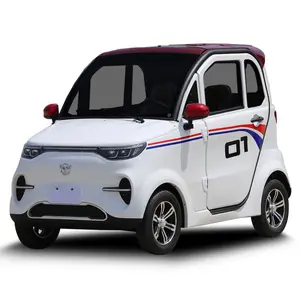 2 Seater Electric Car EEC Approved Mini and Fashion Electric Car