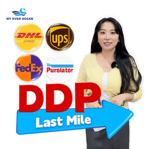 Bao giờ đại dương Tốc độ giao hàng nhanh cửa đến cửa dpd biển chi phí ddu ddu/DDP vận chuyển hàng hóa <span class=keywords><strong>lcl</strong></span> Express DDP đại lý để Canada Mỹ - Product Image 1