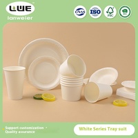 Vente en gros d'ensemble de gobelets et d'assiettes jetables de 12 oz, vaisselle blanche épaissie à paroi unique pour pique-nique et desserts