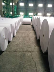 Papel de impresión y escritura biodegradable con material de recubrimiento de PE de un solo lado - Product Image 3