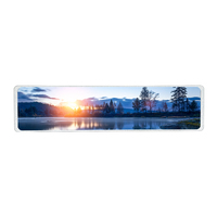 9,16'' 462*1920 Ultra-Breiter IPS MIPI Langstreifen-Dehnbarer LCD-Bildschirm Display-Panel