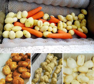 Máquina Peladora de Frutas y Verduras Comercial de Acero Inoxidable 304, Cepillo de Fácil Limpieza para Pera, Raíz de Loto, Ñame y Otras Raíces/Frutas - Product Image 2