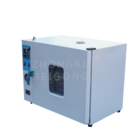 136L 225LCustomized Electric Constant Temperature Blast Drying Oven