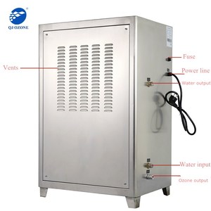 Quanju macchina portatile dell'ozono 30 g/h generatore di trattamento delle acque reflue fonte di ossigeno industriale piscina acqua disinfezione per Hotel - Product Image 6