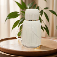 Mini Carafe Thermique Minimaliste pour Usage Domestique, Thermos en Verre 1000ML, Bouilloire de Style Occidental, Design Vintage et Élégant