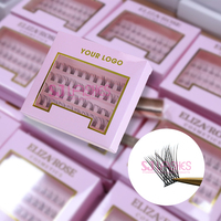 SJ LASHES vente en gros cluster 3D et individuel C/D Curl Fox Cat Eye Eyelash Kit cils vente en gros marque privée