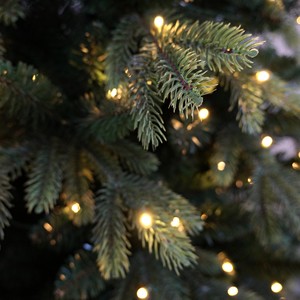 Sapin de Noël en PE 3D pré-éclairé, forme pin, vente chaude, idéal pour la décoration intérieure - Product Image 2