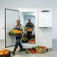 Promotion : Chambre froide résidentielle et commerciale pour durian, banane, fruits et blocs de glace, avec capacité de congélation