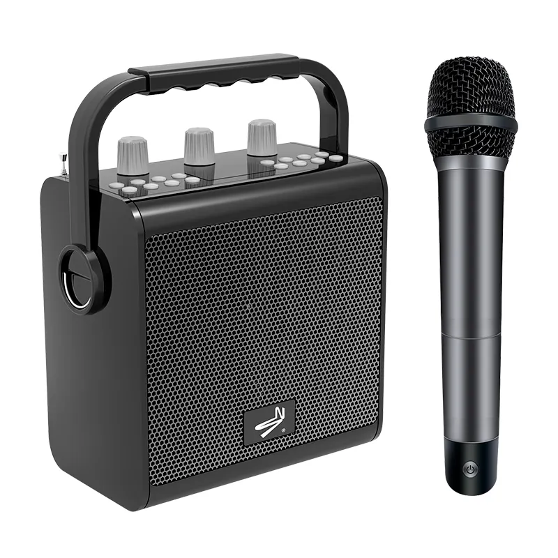 Hot Selling Portable Powered Dj Party Box Speaker Usb Karaoke Speaker with Mic and Bluetooth