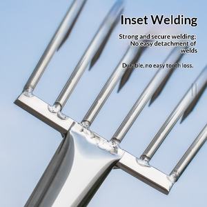 SGE SG7564 3-Piece <strong>Tide</strong> Pooling Rake Set Wooden/Steel Handle 5-7 Tines Stainless Steel Clam Digging Tool for Clams Oysters Crabs - Product Image 3