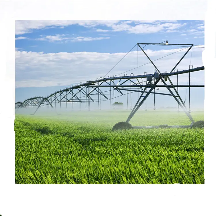Sprinkler di irrigazione a perno centrale e sistema di irrigazione a movimento lineare laterale vendita sistema di irrigazione a movimento laterale