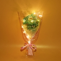 Asters éternels lumineux à LED Fleurs séchées Bouquet de confession Saison de remise des diplômes Envoyer des fleurs à l'enseignant Cadeau