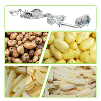 Línea de Producción de Papas Fritas de 2000 kg/h, Línea de Producción Automática de Papas Fritas Comercial